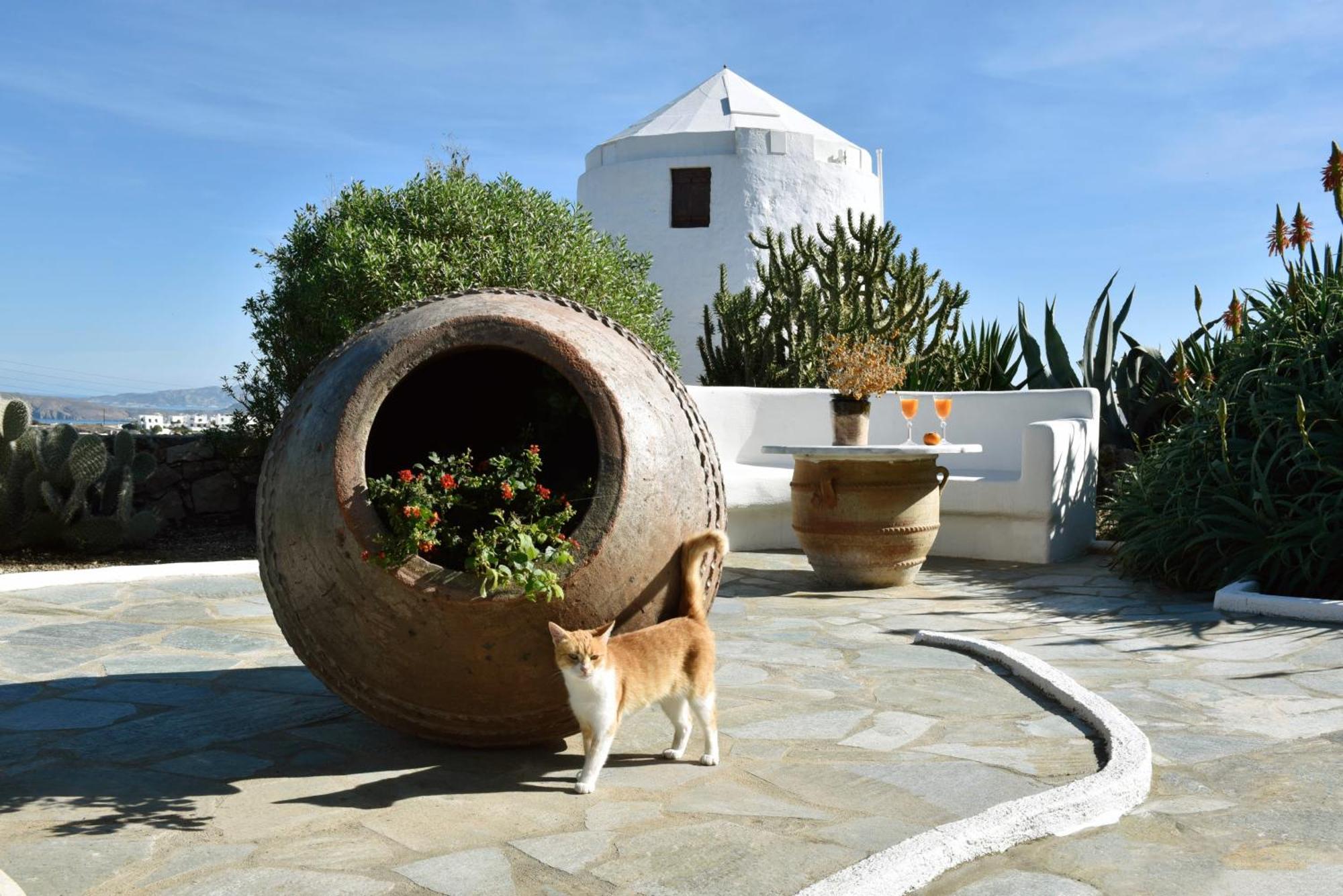 Anastasia'S Windmill And Anastasia'S Studio Plaka  Extérieur photo